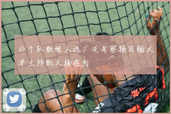 公牛队教练人选广泛考察杨百翰大学主帅凯文杨在列
