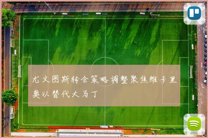 尤文图斯转会策略调整聚焦维卡里奥以替代大马丁
